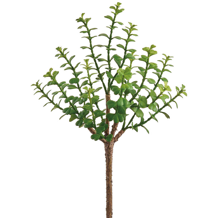 10" Outdoor UV-Resistant Artificial Jade Stem Pick -Green (Pack of 12) - CKJ557-GR