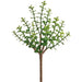 10" Outdoor UV-Resistant Artificial Jade Stem Pick -Green (Pack of 12) - CKJ557-GR