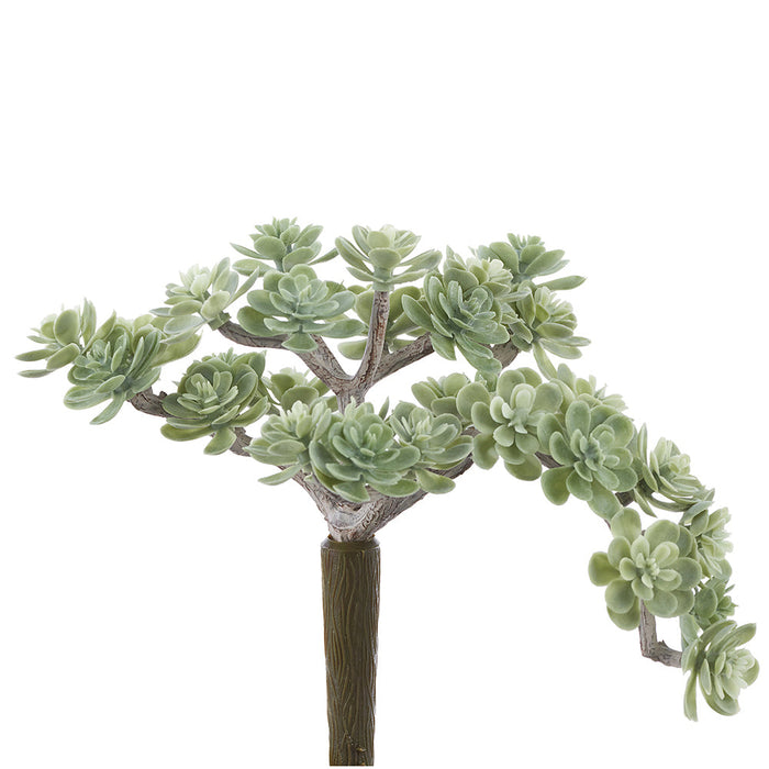 5" Outdoor UV-Resistant Artificial Sedum Stem Pick -Dusty Green (Pack of 36) - CKS038-GR/DU