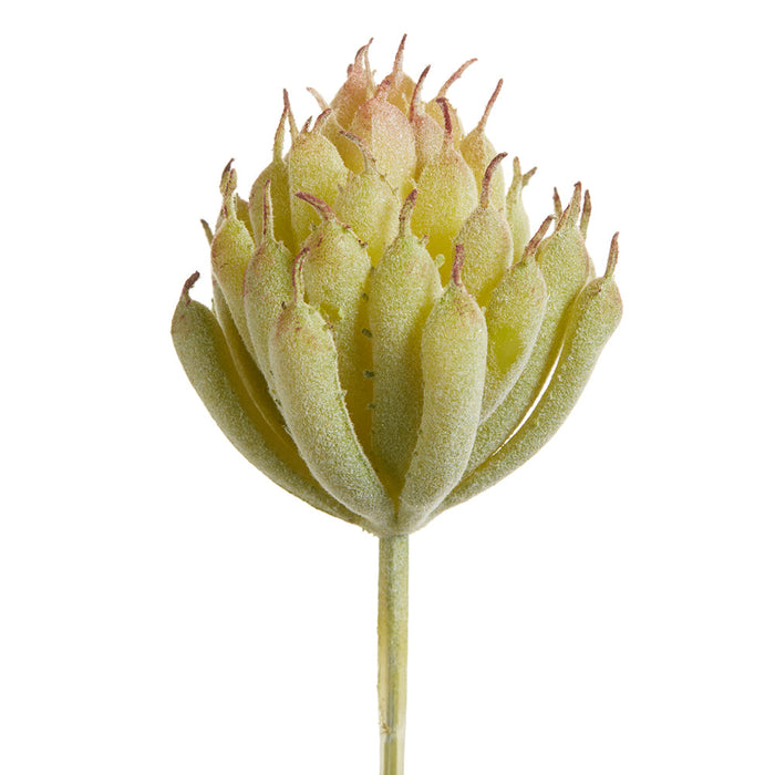 4" Senecio Succulent Artificial Stem Pick -Green/Pink (Pack of 36) - CKS068-GR/PK