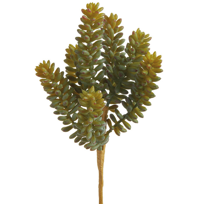 8" Sedum Succulent Artificial Stem Pick -2 Tone Green (Pack of 12) - CKS090-GR/TT