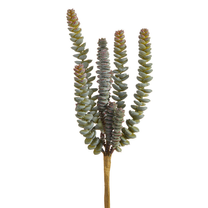 11.5" Worm Sedum Succulent Artificial Stem Pick -Green/Gray (Pack of 12) - CKS091-GR/GY