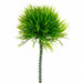 6" Real Touch Moss Grass Artificial Stem Pick -Green (Pack of 36) - CM0305-GR
