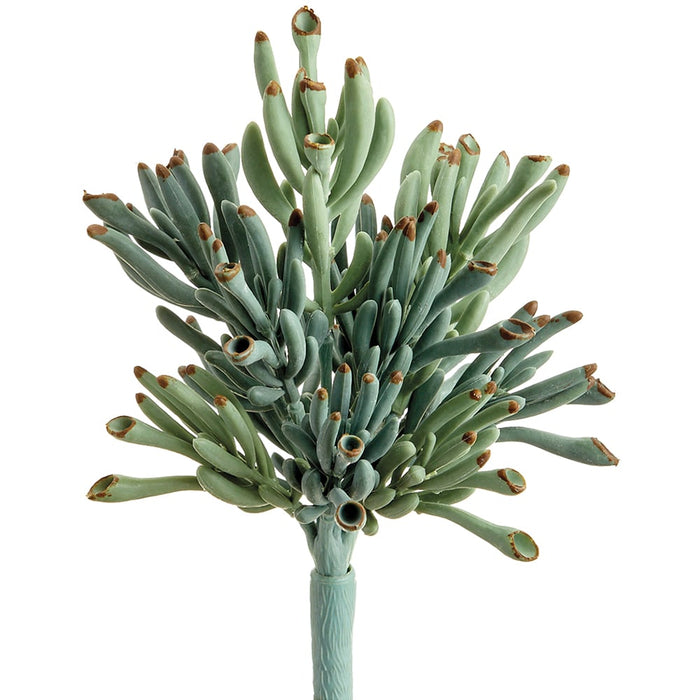 coral succulent 9" Artificial Coral Crassula Succulent Stem Pick -Green/Gray — Silks Are Forever