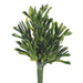 9" Artificial Coral Crassula Succulent Stem Pick -Green (pack of 12) - CM1019-GR