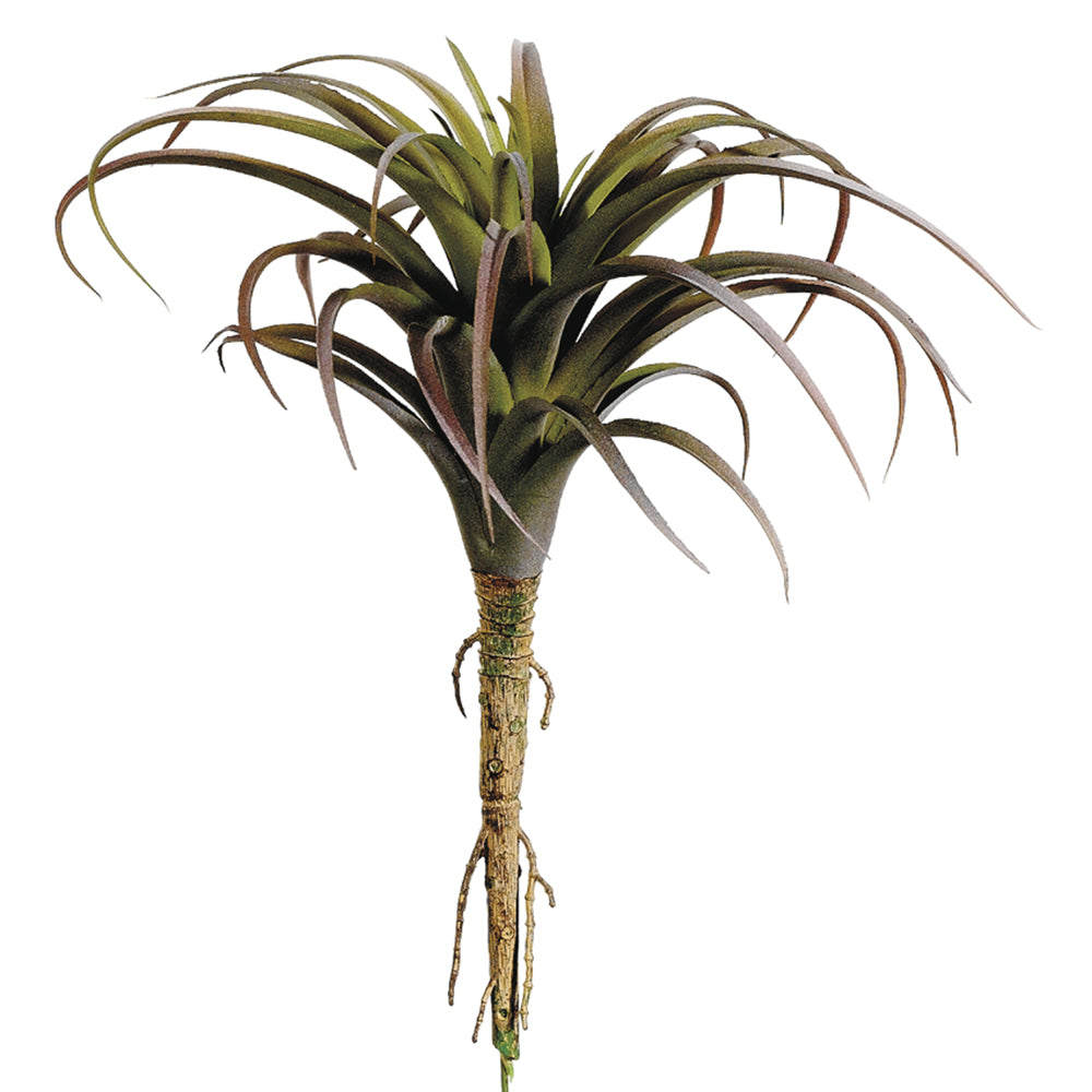 Faux Air Plant: Artificial Tillandsia With Pale Green Leaves, Fake Air Plant,  Stricta 8.5 Inch Long 