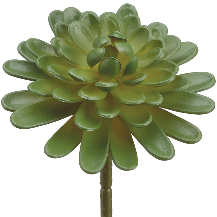 5" Artificial Floret Aeonium Stem -Green (pack of 12) - CM1673-GR