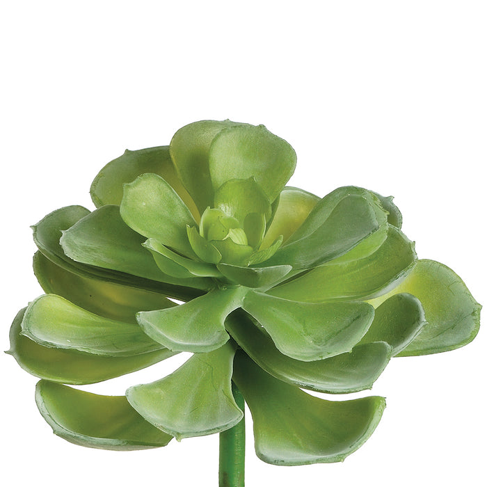4" Echeveria Setosa Artificial Plant -Green (pack of 12) - CM2136-GR