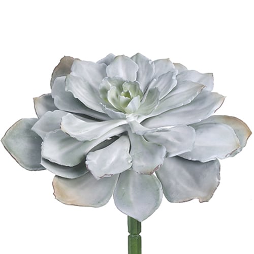 8"Hx14"W Echeveria Artificial Stem Pick -Gray/Green (pack of 6) - CM3790-GY/GR