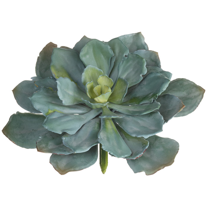8"Hx14"W Echeveria Artificial Stem Pick -Gray/Green (Pack of 6) - CM3790-GY/GR