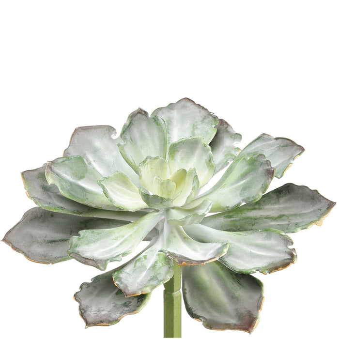 8"Hx10.5"W Real Touch Echeveria Artificial Stem Pick -Green/Gray (Pack of 8) - CM3792-GR/GY