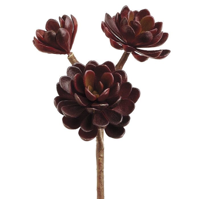 10" Hen And Chick Succulent Artificial Stem -Burgundy (pack of 12) - CM4125-BU