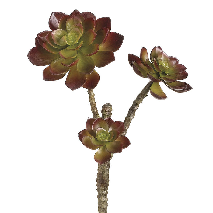 13" Echeveria Artificial Stem -Coffee (pack of 12) - CM4128-CV