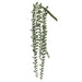 16" Senecio Hanging Artificial Stem -Frosted Green (pack of 12) - CM4338-GR/FS
