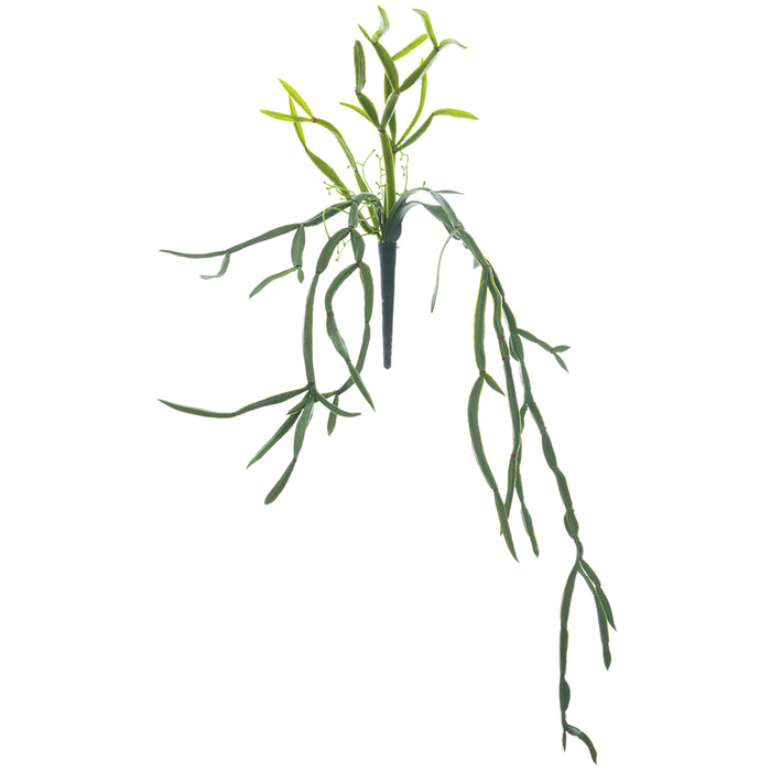 hanging pencil cactus 23" Real Touch Hanging Pencil Cactus Artificial Stem Pick -Green (Pack of 12)