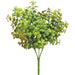 12" Jade Artificial Plant -Green/Burgundy (pack of 24) - CM4681-GR/BU