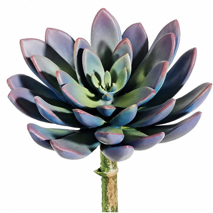 8" Echeveria Artificial Stem Pick -Lavender/Green (Pack of 12) - CM7280-LV/GR