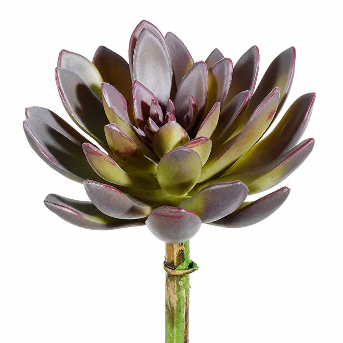 8" Echeveria Artificial Stem Pick -Purple/Green (Pack of 12) - CM7280-PU/GR