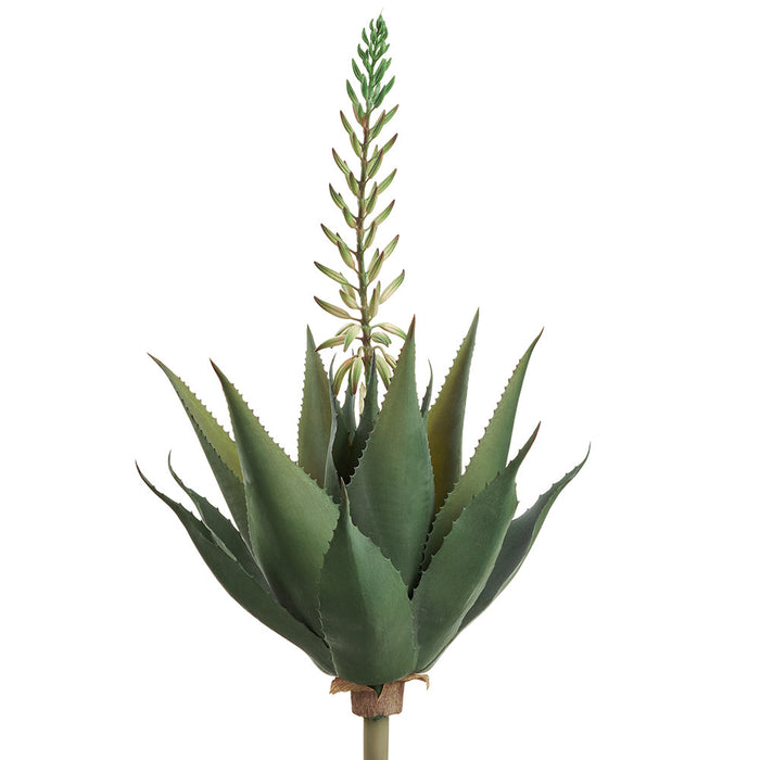 29" Blooming Agave Artificial Plant -White/Green (pack of 4) - CP3023-WH/GR