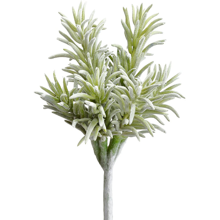 10" Real Touch Artificial Senecio Succulent Stem Pick -Frosted Green (pack of 12) - CS0006-GR/FS