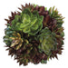 6" Succulent Ball Artificial Plant -Green/Burgundy (pack of 6) - CS0476-GR/BU