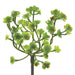 8.5" Real Touch Sedum Artificial Stem Pick -Green (pack of 24) - CS1224-GR