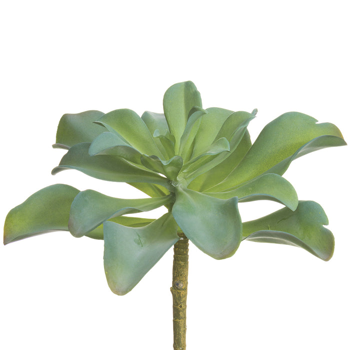 7" Artificial Kalanchoe Plant -Green/Gray (pack of 12) - CS1310-GR/GY