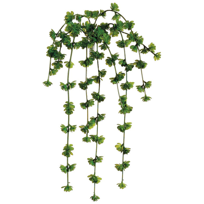 hanging sedum plant 20" Real Touch Hanging Sedum Vine Artificial Plant -Green — Silks Are Forever