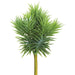 12"Hx7"W Soft PE Artificial Senecio Succulent Stem Pick -Green/Gray (pack of 6) - CS1650-GR/GY
