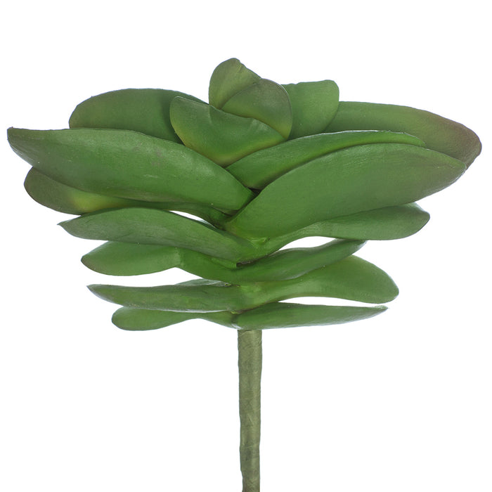 real touch succulents 8" Real Touch Succulent Artificial Plant -Green (Pack of 12)