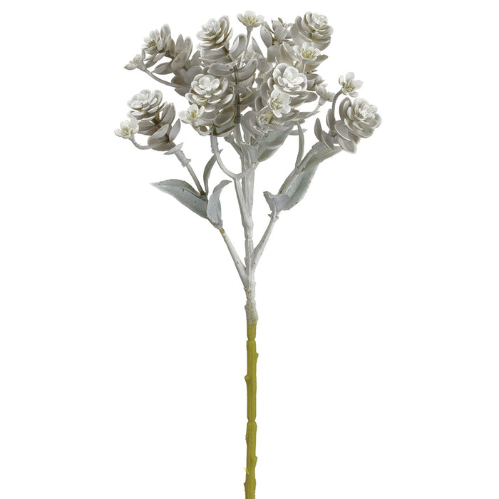11.75" Sedum Artificial Stem Pick -Green/Whitewashed (Pack of 36) - CS4684-GR/WW