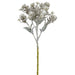 11.75" Sedum Artificial Stem Pick -Green/Whitewashed (Pack of 36) - CS4684-GR/WW