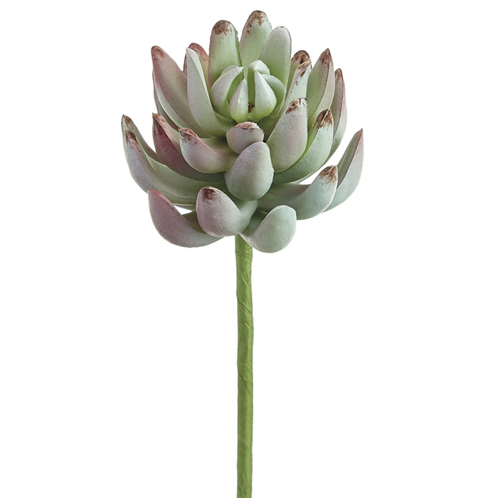 6.5" Real Touch Artificial Senecio Stem Pick -Green (pack of 12) - CS5765-GR
