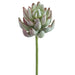 6.5" Real Touch Artificial Senecio Stem Pick -Green (pack of 12) - CS5765-GR
