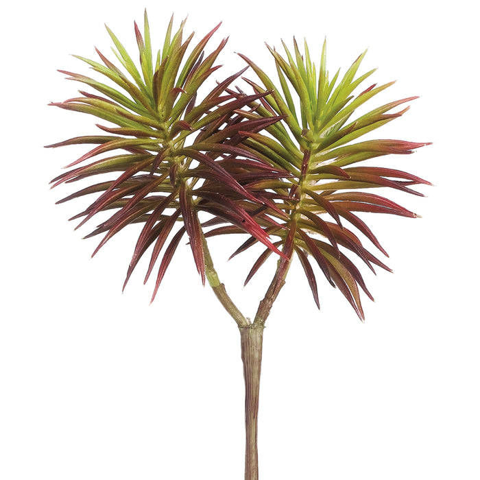 9" Real Touch Spiky Senecio Artificial Stem Pick -Burgundy (Pack of 24) - CS7009-BU