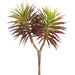 9" Real Touch Spiky Senecio Artificial Stem Pick -Burgundy (Pack of 24) - CS7009-BU