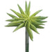6" Real Touch Starburst Succulent Artificial Stem Pick -Green/Gray (pack of 12) - CS7331-GR/GY