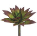 6"Hx6"W Real Touch Artificial Agave Stem Pick -Green/Brown (pack of 12) - CS7450-GR/BR