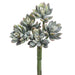 9" Real Touch Mini Artificial Echeveria Stem Pick -Green/Frosted (pack of 12) - CS8777-GR/FS