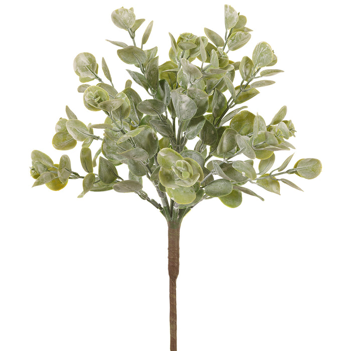 ihi succulent 17" Artificial Ihi Succulent Plant -Green/Gray