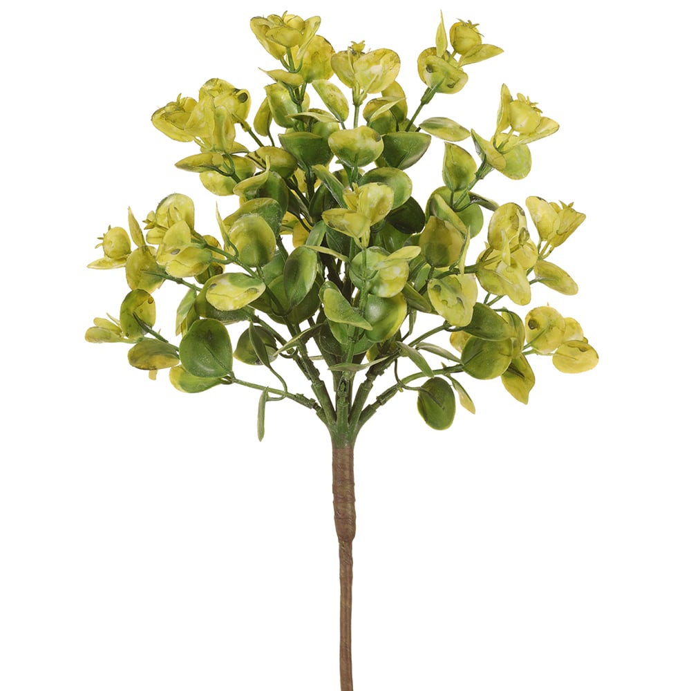 ihi succulent 17" Artificial Ihi Succulent Plant -Light Green