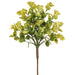 17" Artificial Ihi Succulent Plant -Light Green (pack of 12) - CSI372-GR/LT