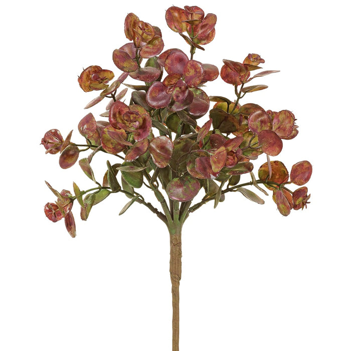 17" Artificial Ihi Succulent Plant -Purple/Green (pack of 12) - CSI372-PU/GR