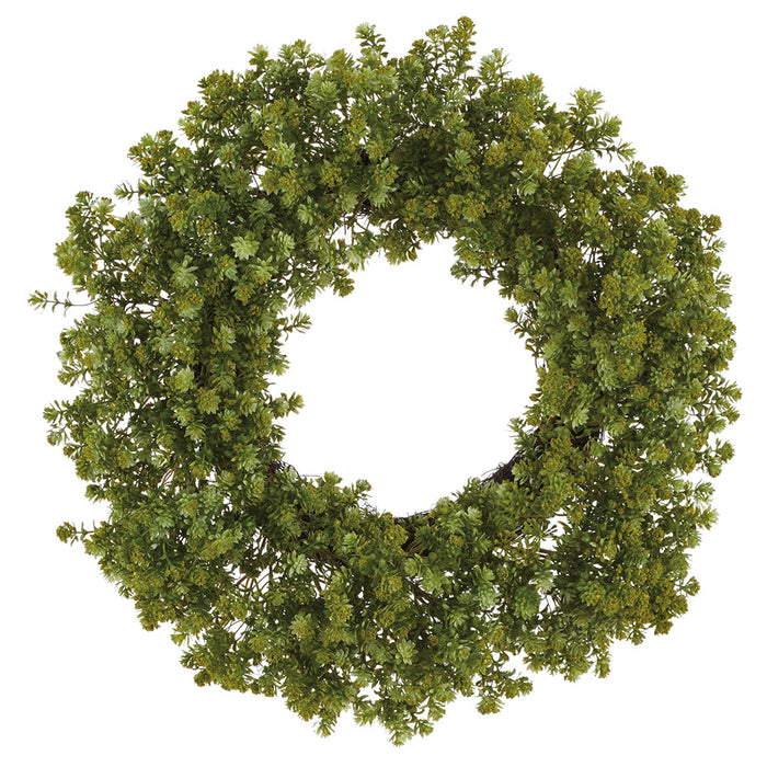 24" Sedum Succulent Artificial Wreath -Green - CWS005-GR