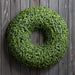 20" Real Touch Artificial Sedum Succulent Wreath -Green - CWS655-GR