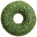20" Real Touch Artificial Sedum Succulent Wreath -Green - CWS655-GR