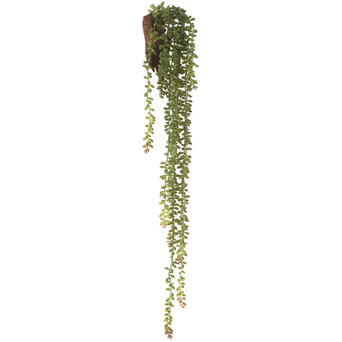 28" Donkey Tail Succulent Artificial Plant w/Wall Hanger -Green (Pack of 6) - CZD885-GR