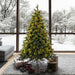 6'6"Hx56"W PE Emerald Mixed Fir & Pinecone Artificial Christmas Tree, LED Pre-Lit -Green/Brown - DT210566LED