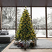 10'Hx84"W PE Emerald Mixed Fir & Pinecone Artificial Christmas Tree, LED Pre-Lit (Multi-Mode) -Green/Brown - DT210588LEDCC