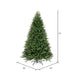 6'6"Hx52"W PE Tiffany Fraser Artificial Christmas Tree, Unlit -Green - DT213565